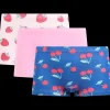 Cool Basics hipsters Vrouw 3 Stuks | Action NL