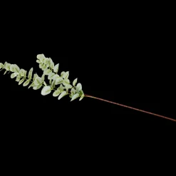 Excellent Flowers kunst-eucalyptus op steel | Action NL
