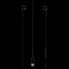 Roseland oordopjes USB-C | Action NL